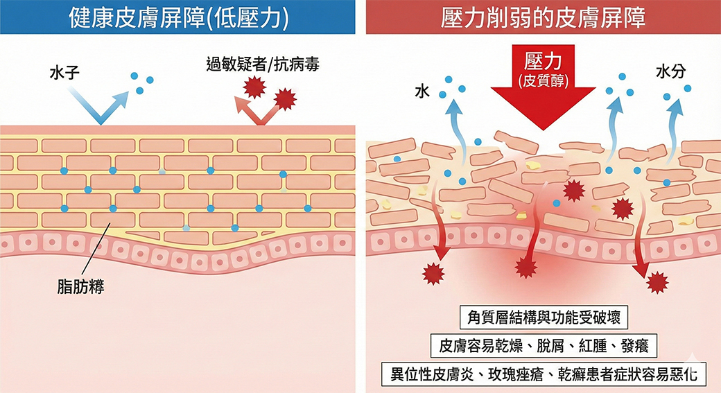 肌膚也有「壓力症候群」？壓力過大 恐導致肌膚走下坡！、情緒EMO傷肝、傷皮膚？！5招教你蛻變自信，改善膚質喔、肌膚也有「壓力症候群」？壓力過大 恐導致肌膚走下坡！、過大的生活壓力，會造成肌膚老化？、濕疹與情緒病的相互影響