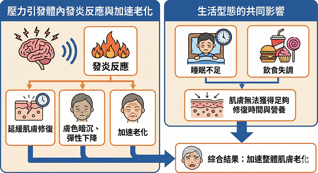 肌膚也有「壓力症候群」？壓力過大 恐導致肌膚走下坡！、情緒EMO傷肝、傷皮膚？！5招教你蛻變自信，改善膚質喔、肌膚也有「壓力症候群」？壓力過大 恐導致肌膚走下坡！、過大的生活壓力，會造成肌膚老化？、濕疹與情緒病的相互影響