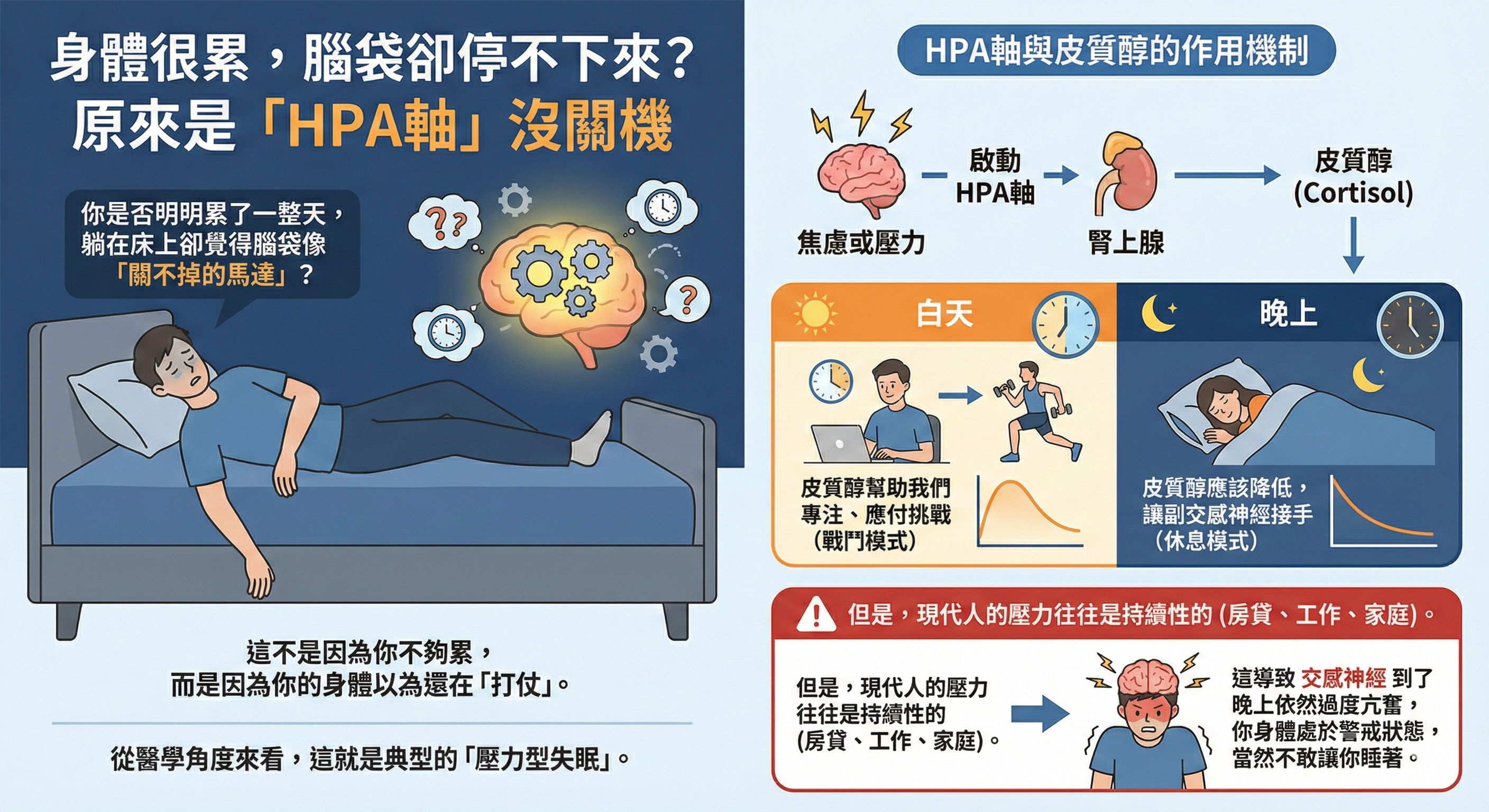 壓力型失眠、皮質醇過高、HPA軸失調、全素GABA、紅景天功效、樂活佳紓壓安錠、植物性助眠