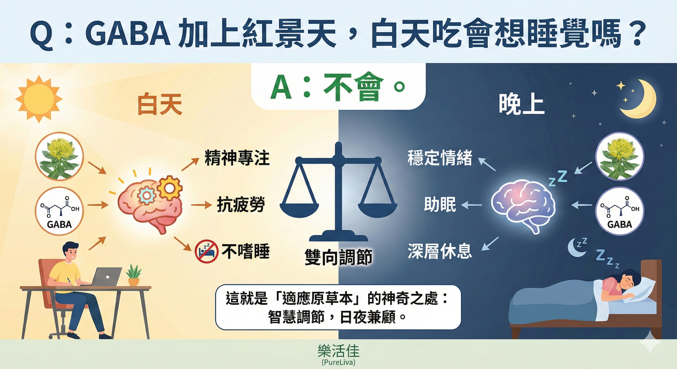 壓力型失眠、皮質醇過高、HPA軸失調、全素GABA、紅景天功效、樂活佳紓壓安錠、植物性助眠